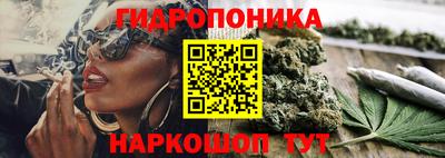 ПСИЛОЦИБИНОВЫЕ ГРИБЫ Абакан