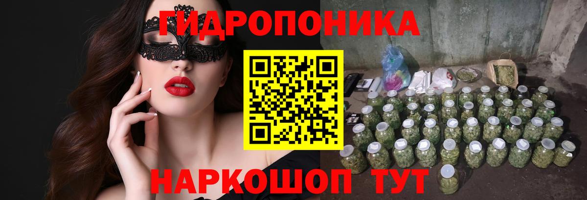 Конопля OG Kush  Вход с VPN  Канабис семена  Апатиты  Бошки Шишки конопля  Марихуана гибрид 